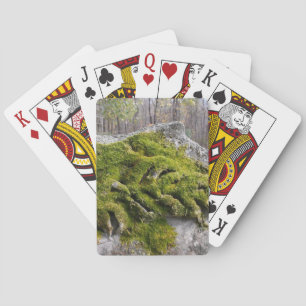 Jeu De Cartes Pierre tombale cassée moussue