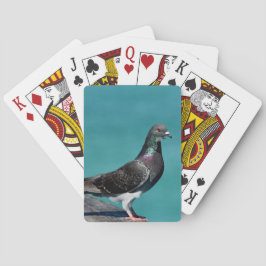 Jeu De Cartes Pigeon biset