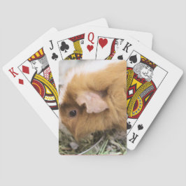 Jeu De Cartes Piggy