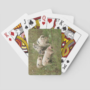 Jeu De Cartes Pigs in a Field Playing Cards