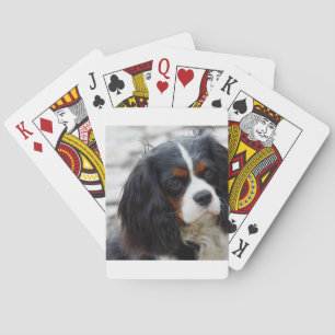 Jeu De Cartes pile 2