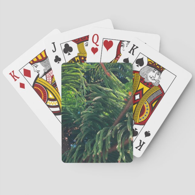 Jeu De Cartes Pine de Norfolk Island (dos)