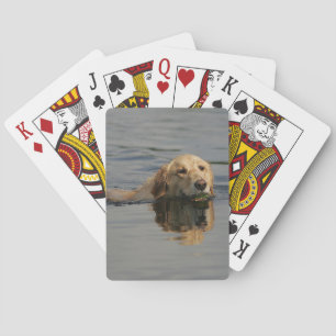 Jeu De Cartes Piscine de Golden