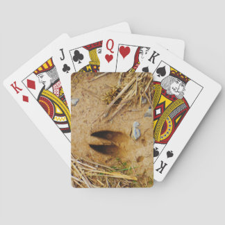 Jeu De Cartes Piste de cerfs