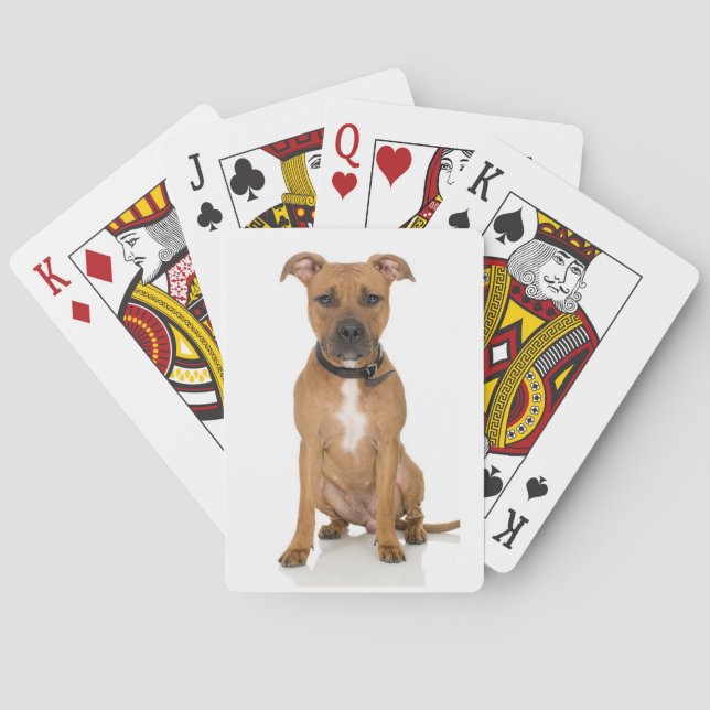Jeu De Cartes Pitbull (dos)
