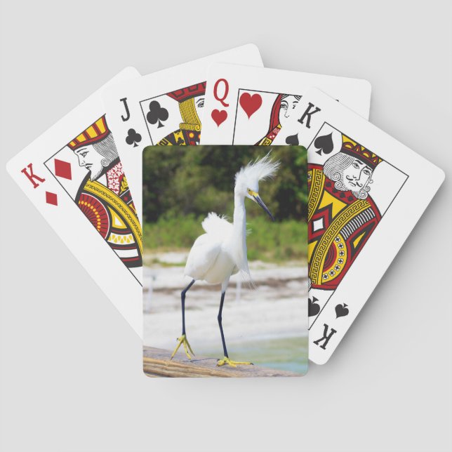 Jeu De Cartes Planche d'aigrettes soufflées (dos)
