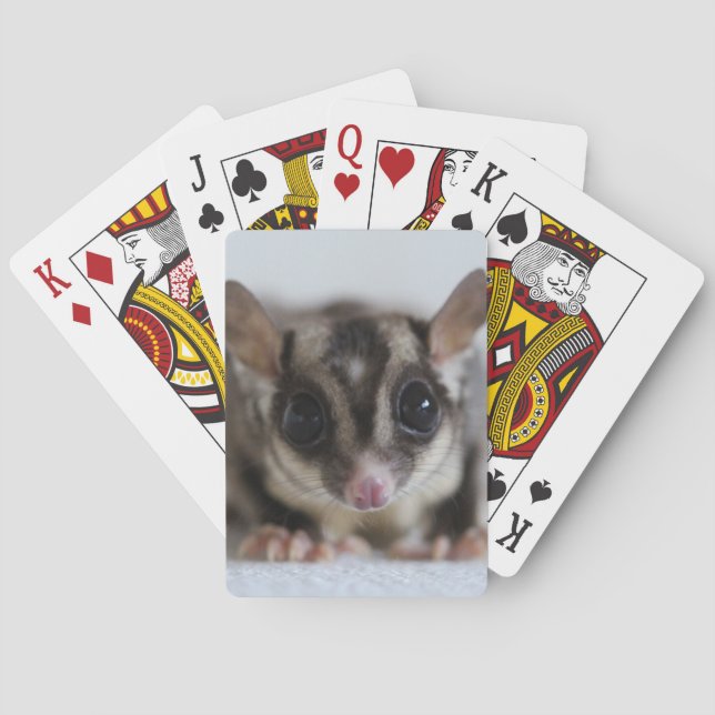 Jeu De Cartes planeur à sucre jouant aux cartes  (dos)
