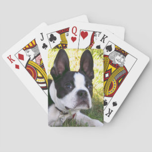 Jeu De Cartes Plaque de cartes Boston Terrier Pup