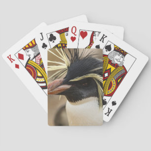 Jeu De Cartes Plaque de cartes Rockhopper Penguin