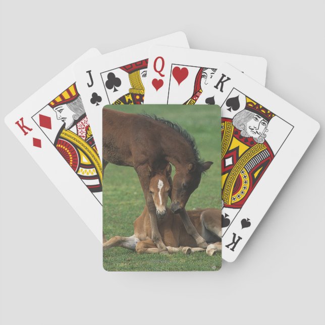 Jeu De Cartes Playing de Morgan Foal (dos)