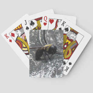 Jeu De Cartes Pludrops