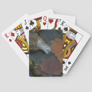 Jeu De Cartes Plumes blanches