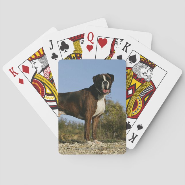 Jeu De Cartes Poignée Boxer Show Stance (dos)