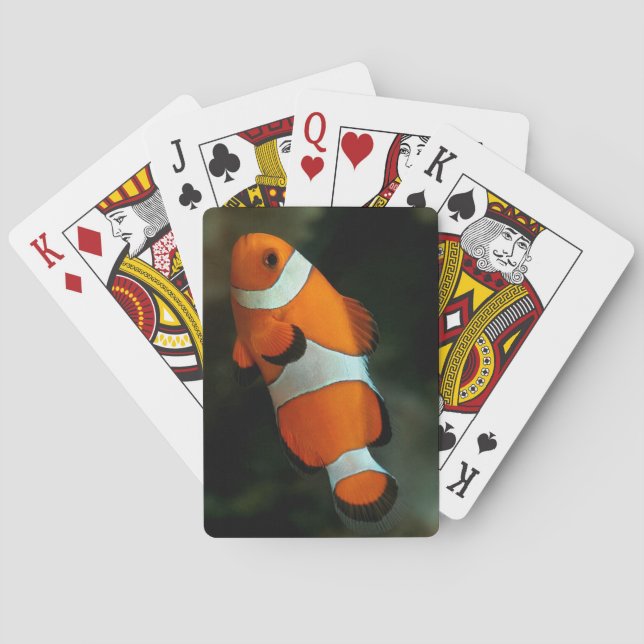 Jeu De Cartes Poisson clown (dos)