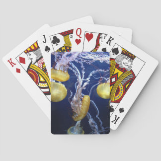 Jeu De Cartes Poisson gelé