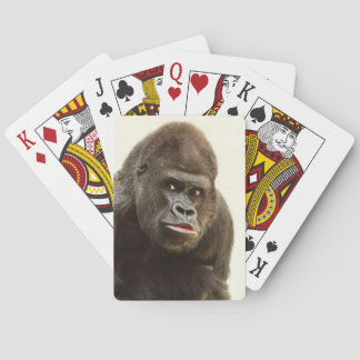 Jeu De Cartes Pomme de Gorille