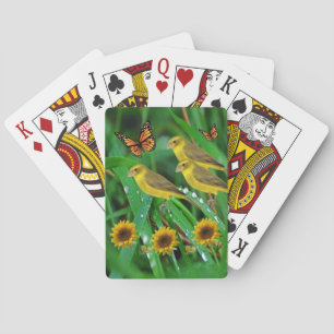 Jeu De Cartes Pont carte de jeu pour oiseaux