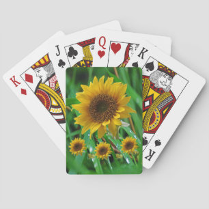 Jeu De Cartes Pont de cartes de tournesol
