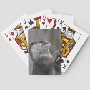 Jeu De Cartes Pont des cards