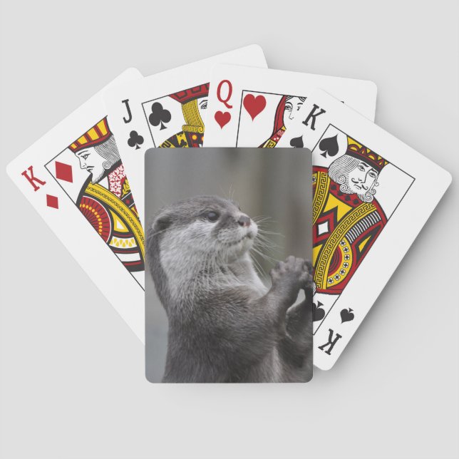 Jeu De Cartes Pont des cards (dos)