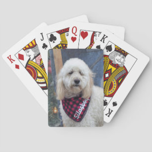 Jeu De Cartes Poodle