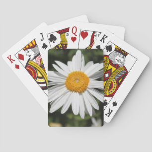 Jeu De Cartes popular flower, pretty wild white daisy photograph