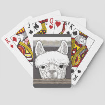Portrait d'Alpaca
