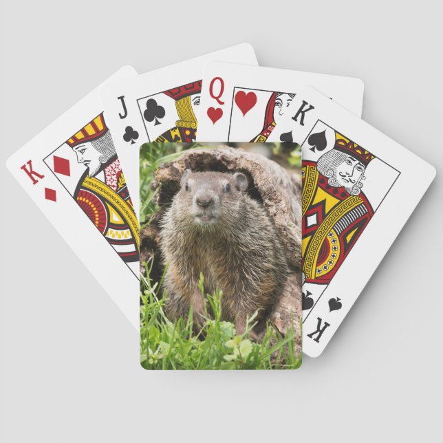 Jeu De Cartes Portrait de fond dans un journal creux (dos)