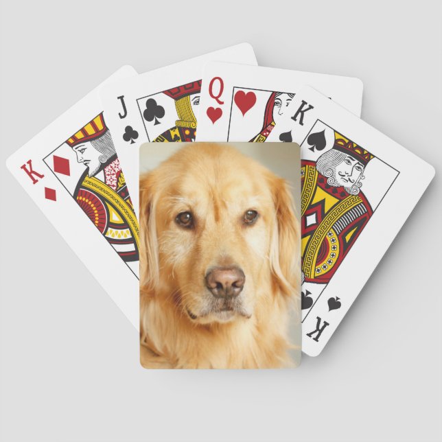 Jeu De Cartes Portrait de Golden Retriever (dos)