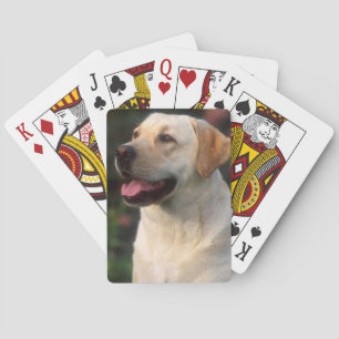 Jeu De Cartes Portrait De Labrador Retriever, Hilton