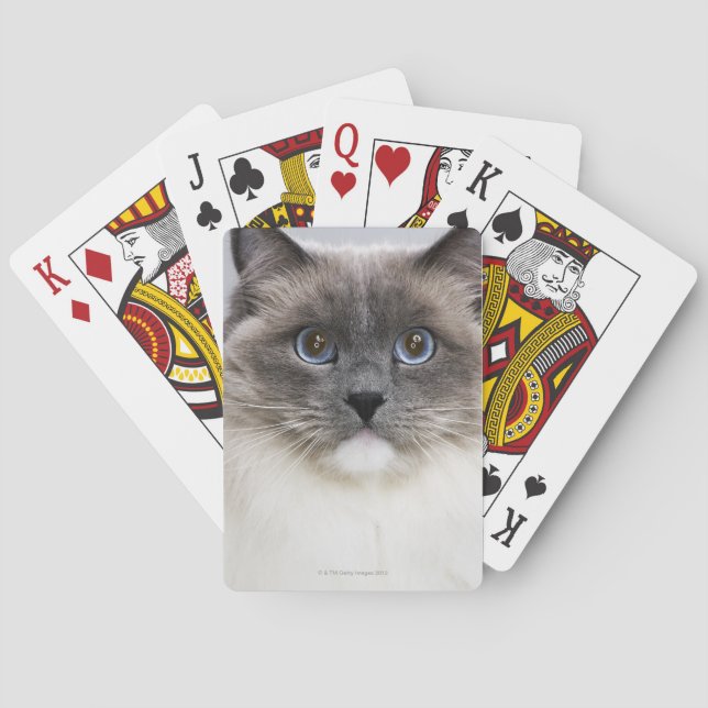 Jeu De Cartes Portrait de Ragdoll cat (dos)
