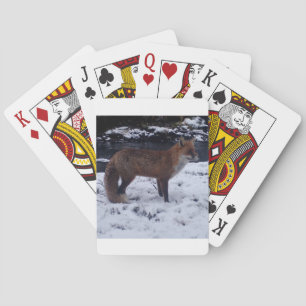 Jeu De Cartes Portrait de renard sous la neige Paysage naturel a