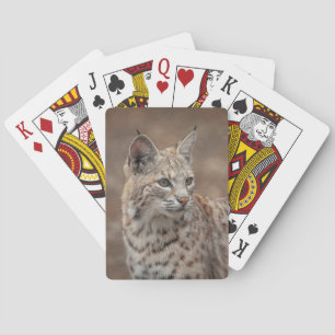Jeu De Cartes Portrait d'un Bobcat