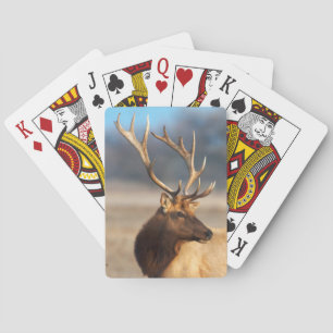 Jeu De Cartes Portrait d'un bull