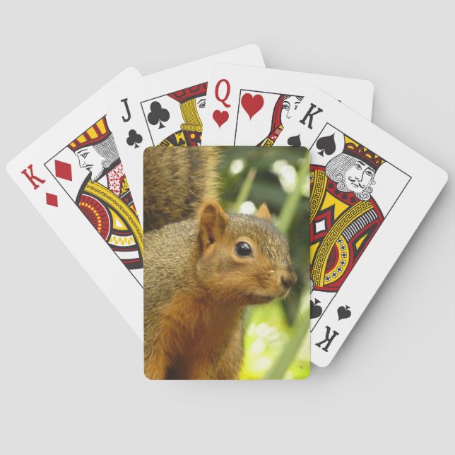 Jeu De Cartes Portrait d'un écureuil Nature Animal Photographie (dos)
