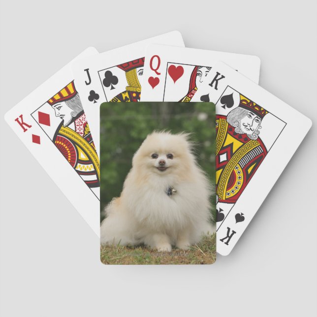 Jeu De Cartes Poste de poméraning (dos)