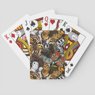 Jeu De Cartes Poster de animal. Ailes papillons.