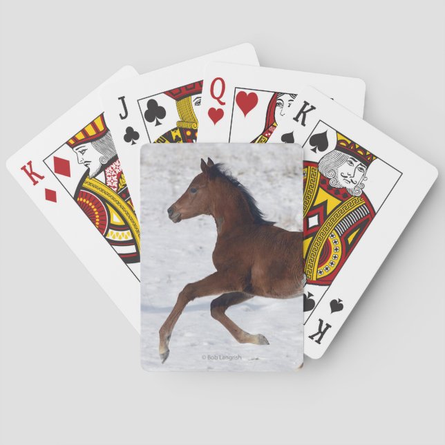 Jeu De Cartes Poulain arabe dans la neige (dos)