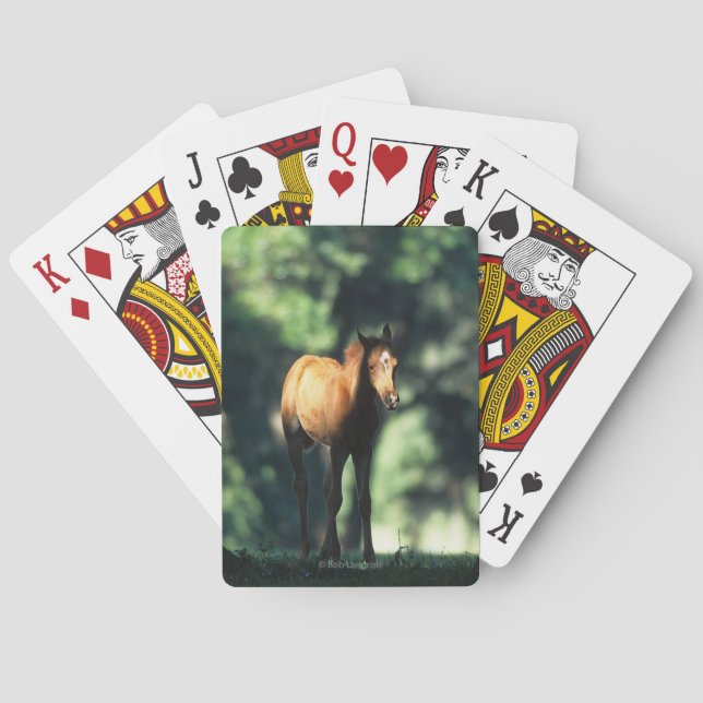 Jeu De Cartes Poulain arabe dans les arbres (dos)