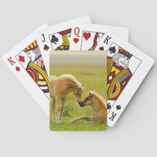 Jeu De Cartes Poulains de cheval