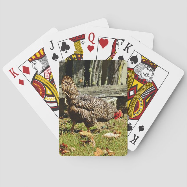 Jeu De Cartes Poulet noir et blanc par clôture (dos)