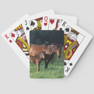 Jeu De Cartes Poulinière pur-sang et poulain 1