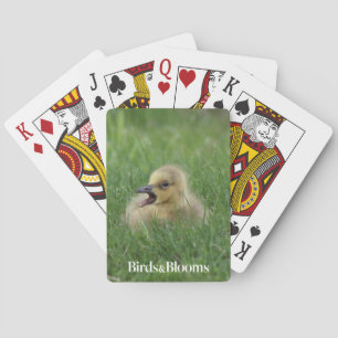 Jeu De Cartes Poussin canadien d'oie