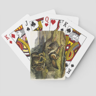 Jeu De Cartes Prairie Wolf