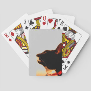 Jeu De Cartes Profil de Lucy
