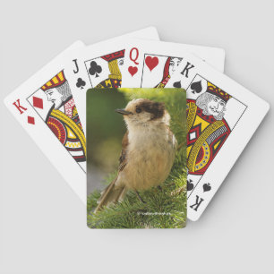 Jeu De Cartes Profil d'un petit bonbon gris gris