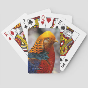 Jeu De Cartes Profil étonnant d'un grenier rouge doré