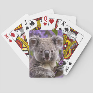 Jeu De Cartes Purple Jacaranda Koala Ours,