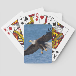 Jeu De Cartes Pygargue à tête blanche en vol