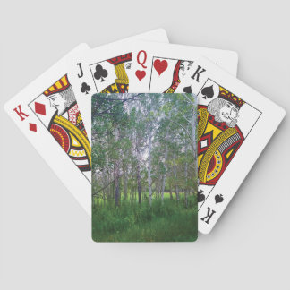 Jeu De Cartes Quakies Playing Cards